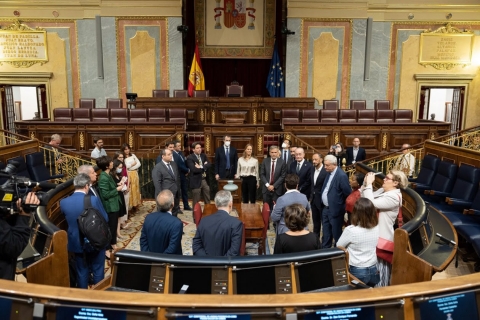 BIE - Congreso Diputados (33)